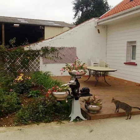 Grande Avec Jardin, Terrasse, Accueil Chevaux, Proche De Wissant, Animaux Ok - Fr-1-376-39 *